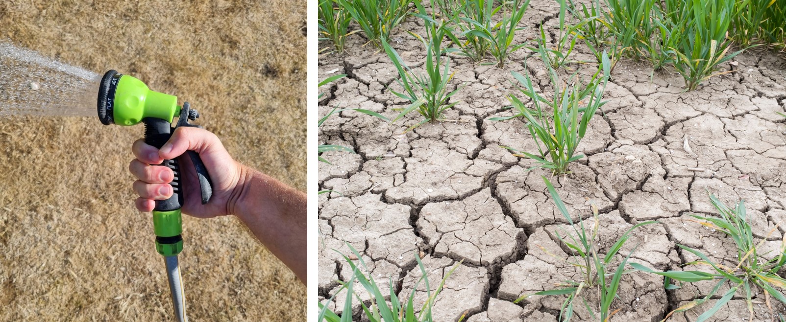 Borehole users urged to carry out checks as water table drops